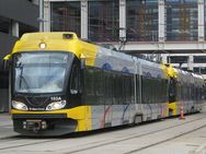 20080828 _lightrail_33.jpg