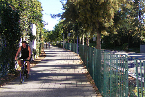 自行车道+ Transitway,樵夫+谷学院站之间